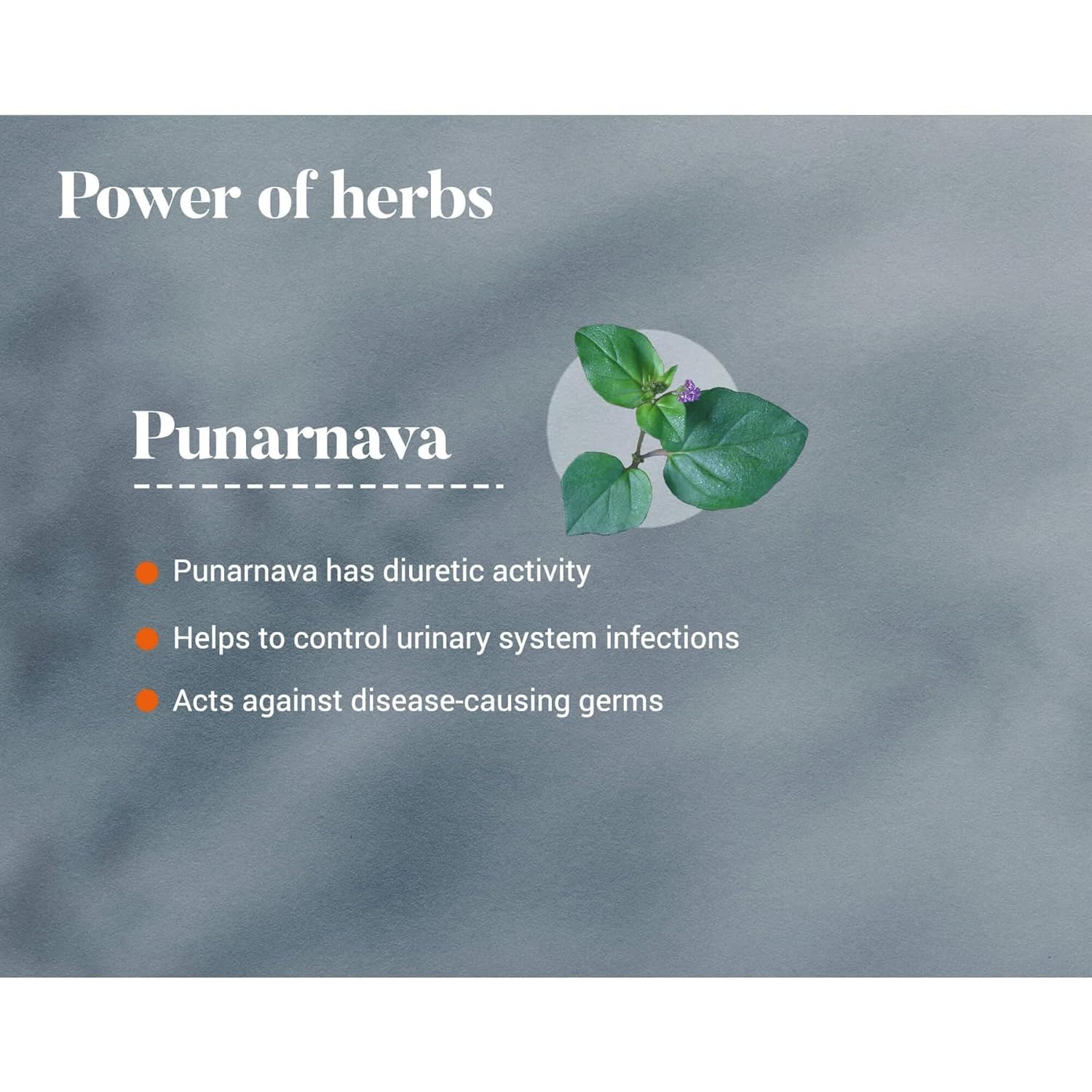 714+1SLaDPL._SL1500_