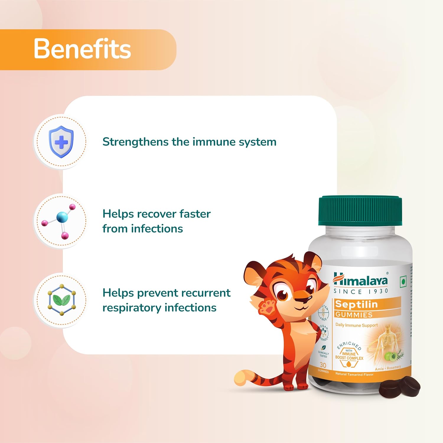 716cVzdKvKL._SL1500_